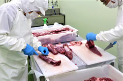 原料前処理工程