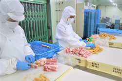 パン粉ライン①