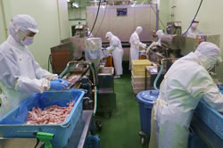 パン粉ライン①