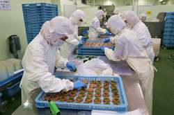 お電話・FAXにてご依頼