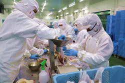 盛付・計量・袋詰工程